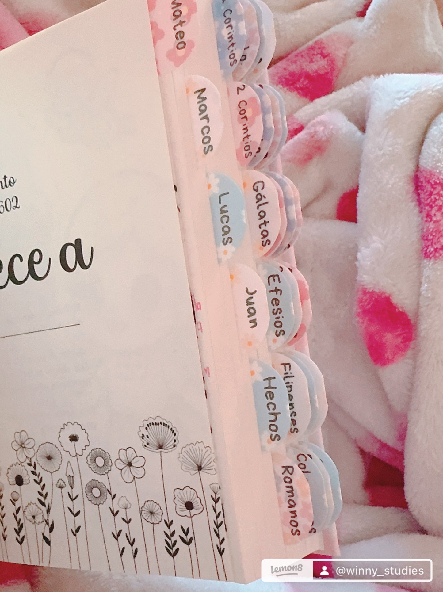 Tabs Impresas Nuevo Testamento Solamente