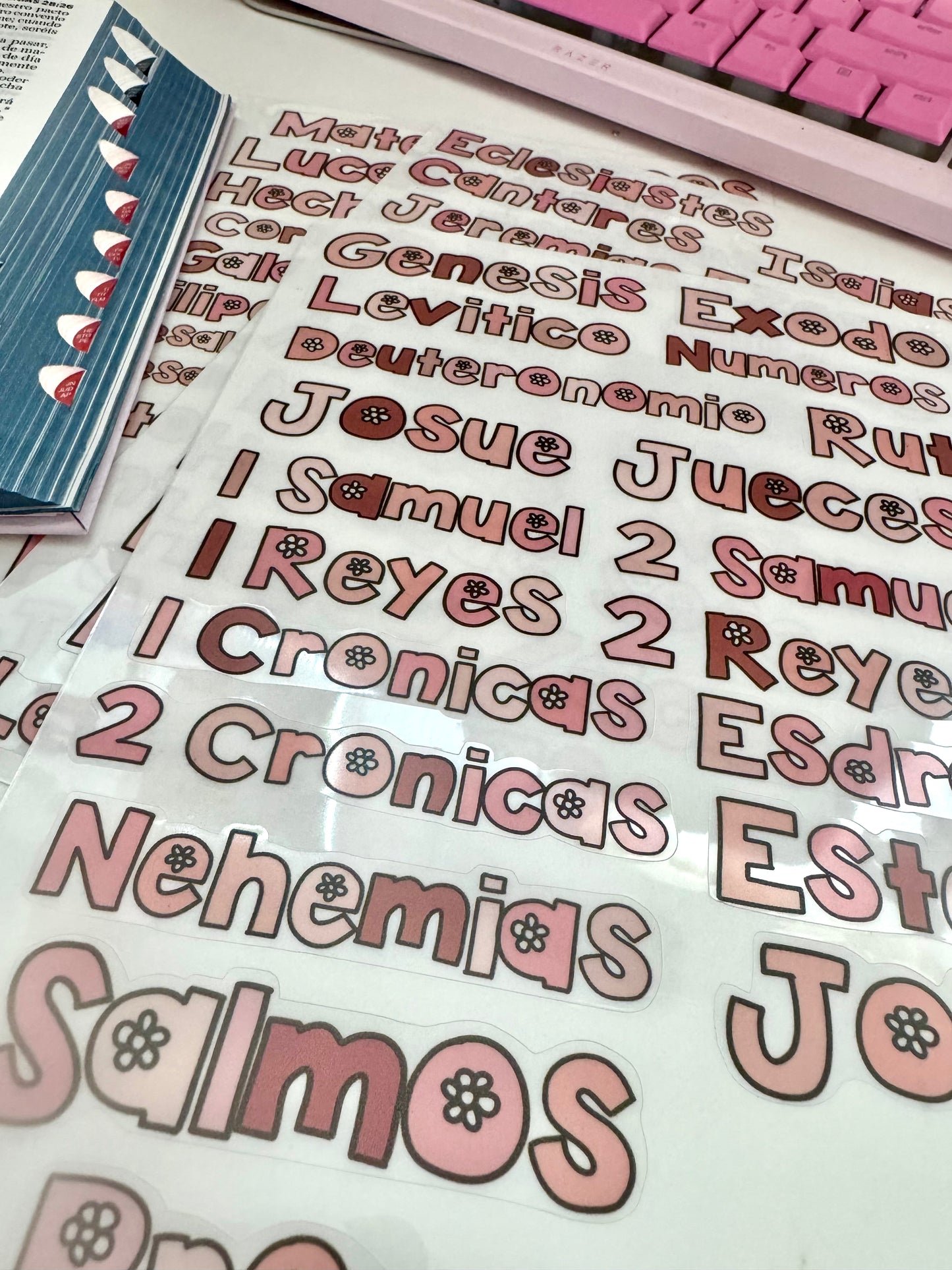 Stickers para 66 libros / pinky