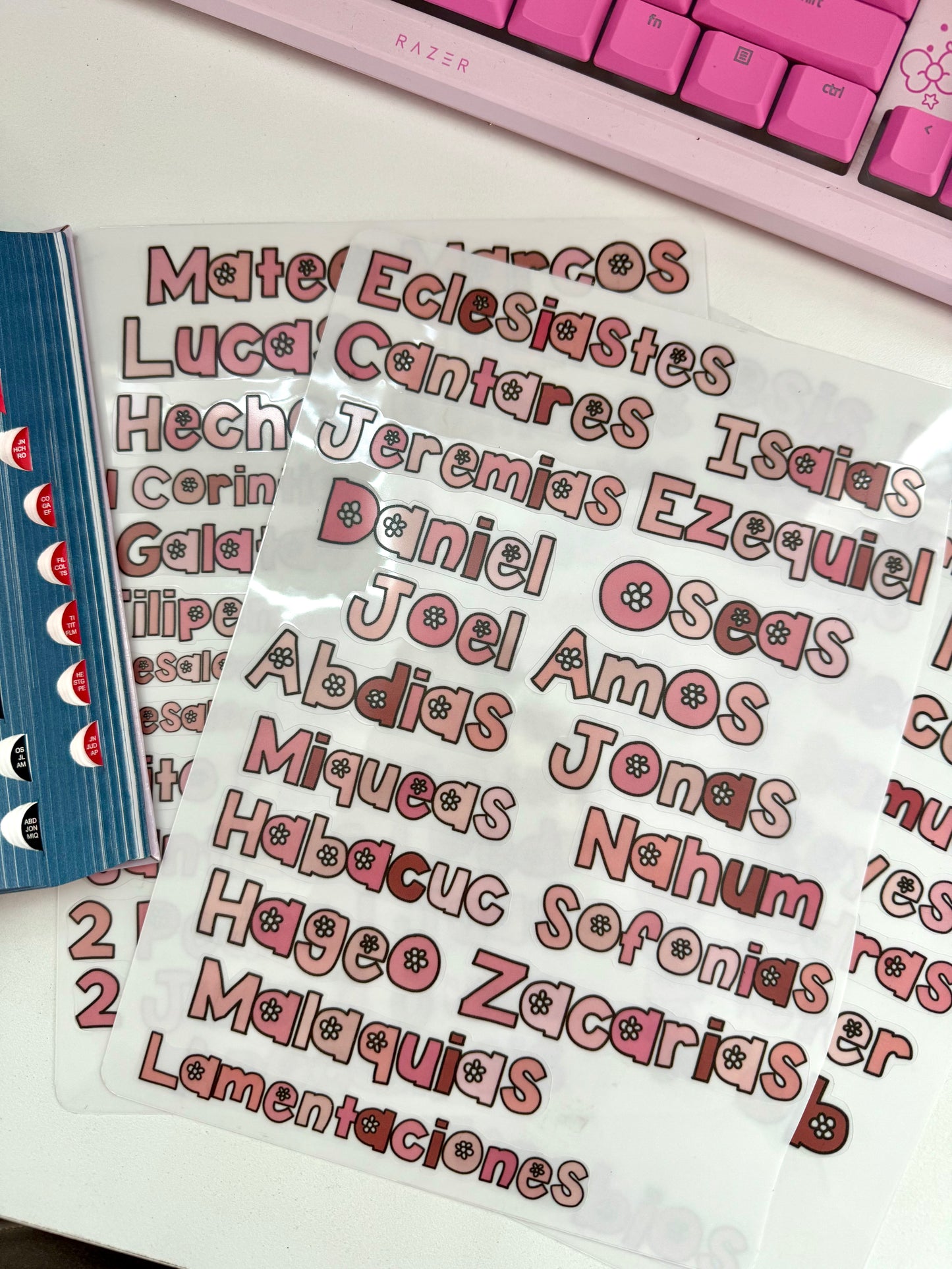 Stickers para 66 libros / pinky