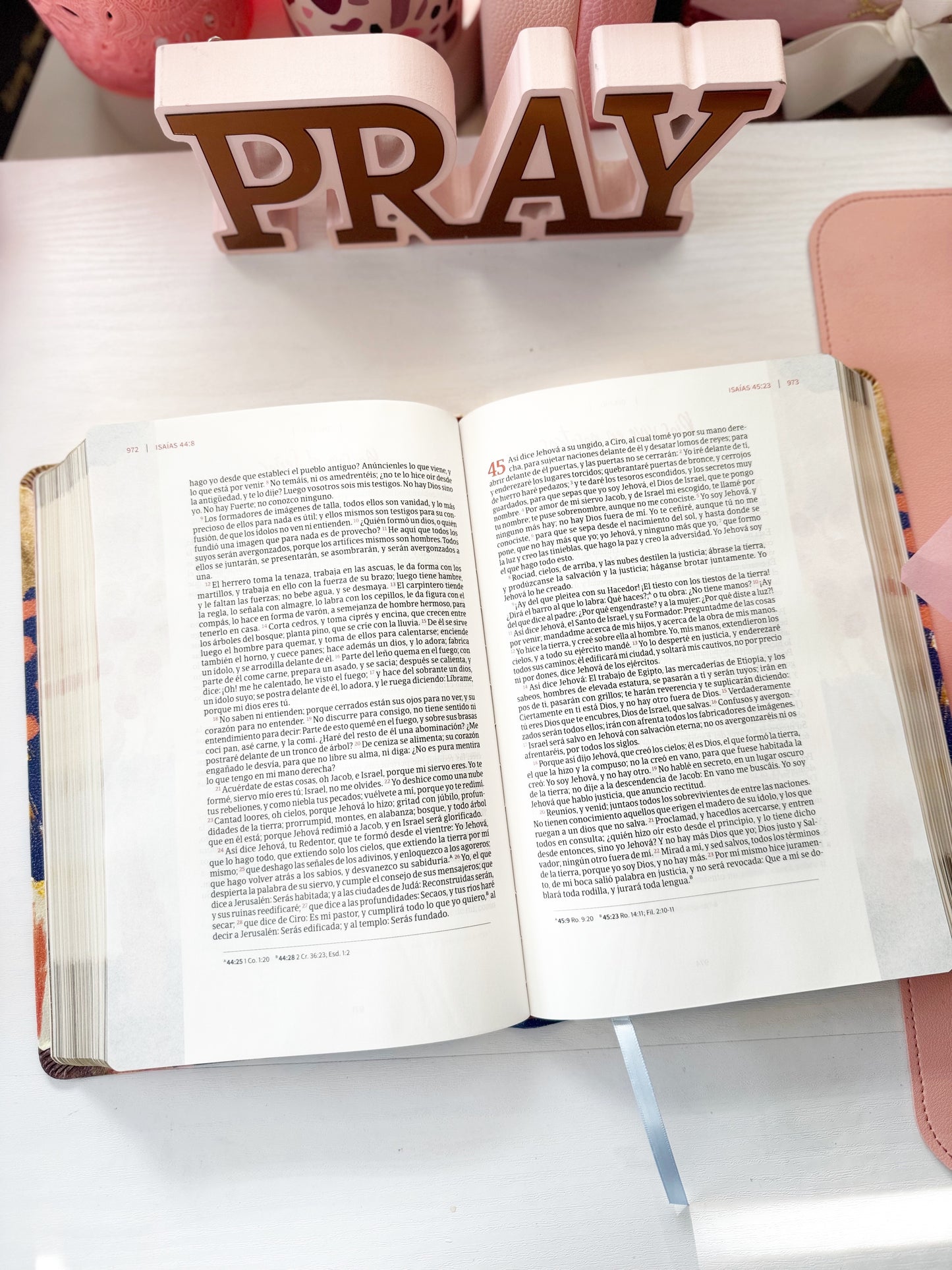 Biblia Centrada En Cristo RVR1960