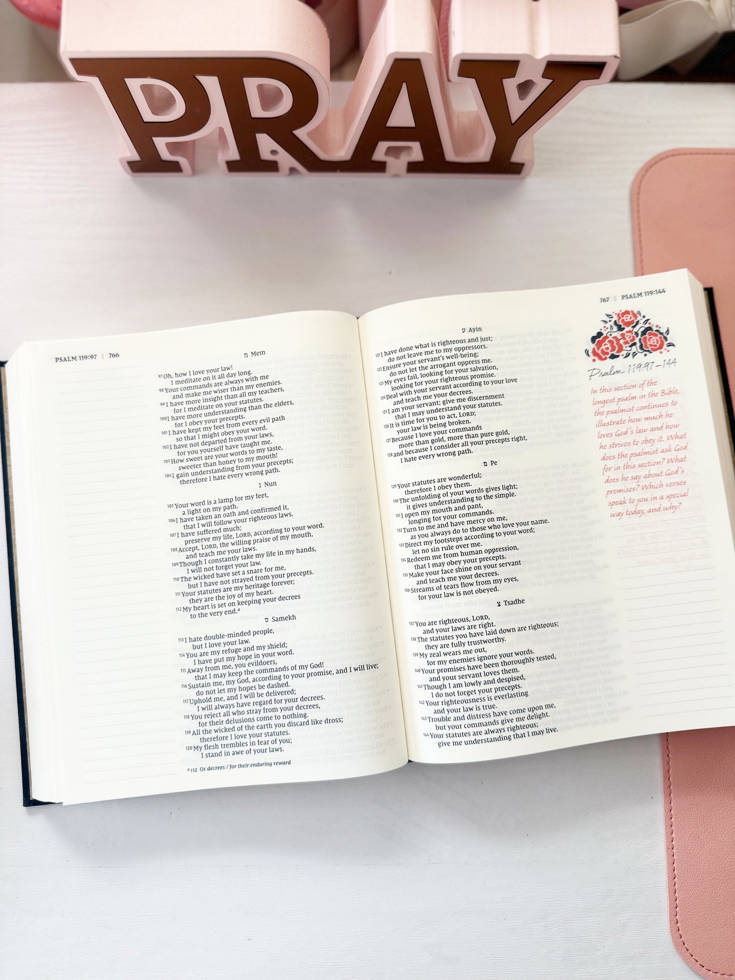 Biblia JOURNAL THE WORD (ingles) NIV