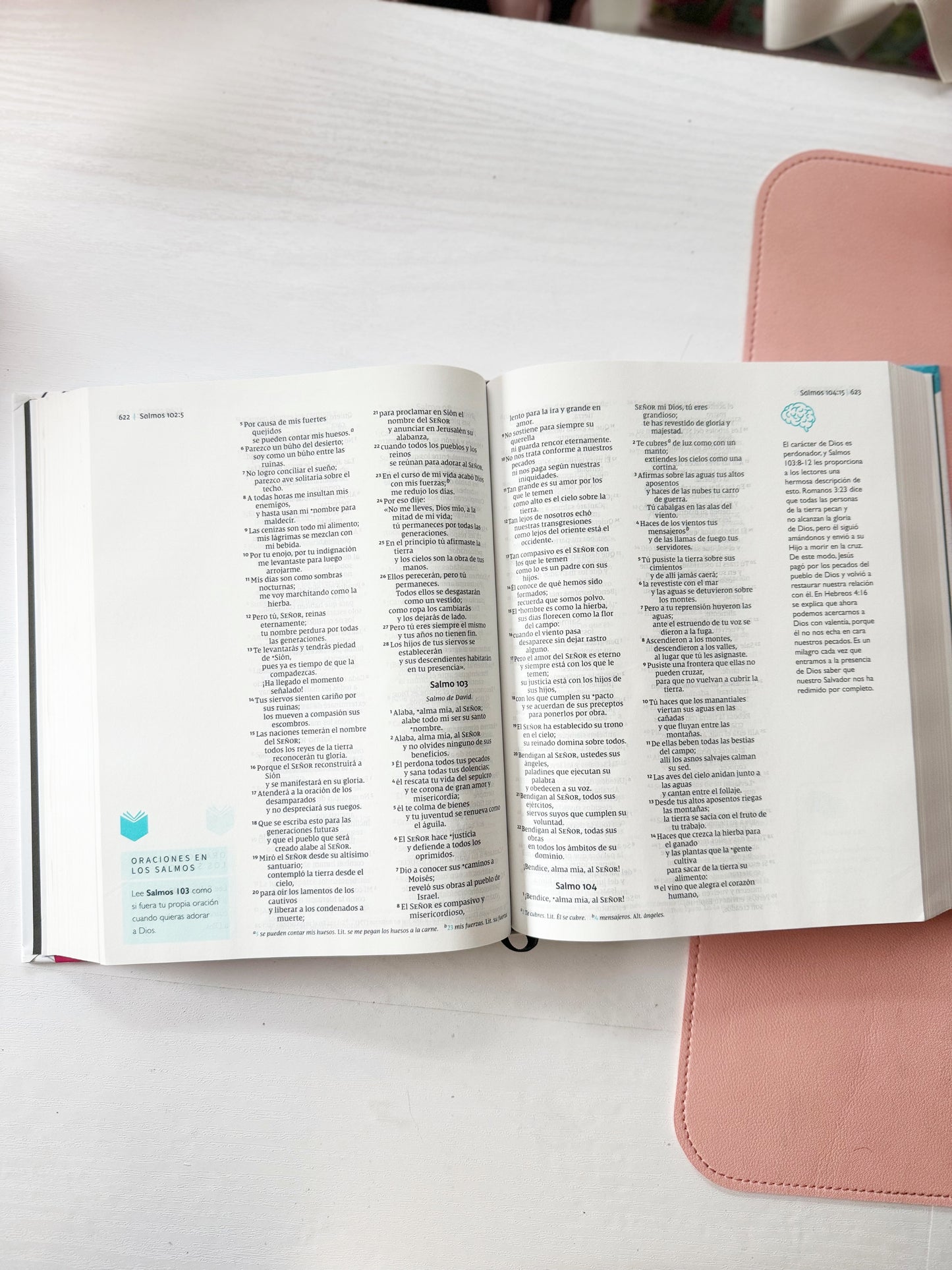 BIBLIA TELOS NVI PARA JOVENES