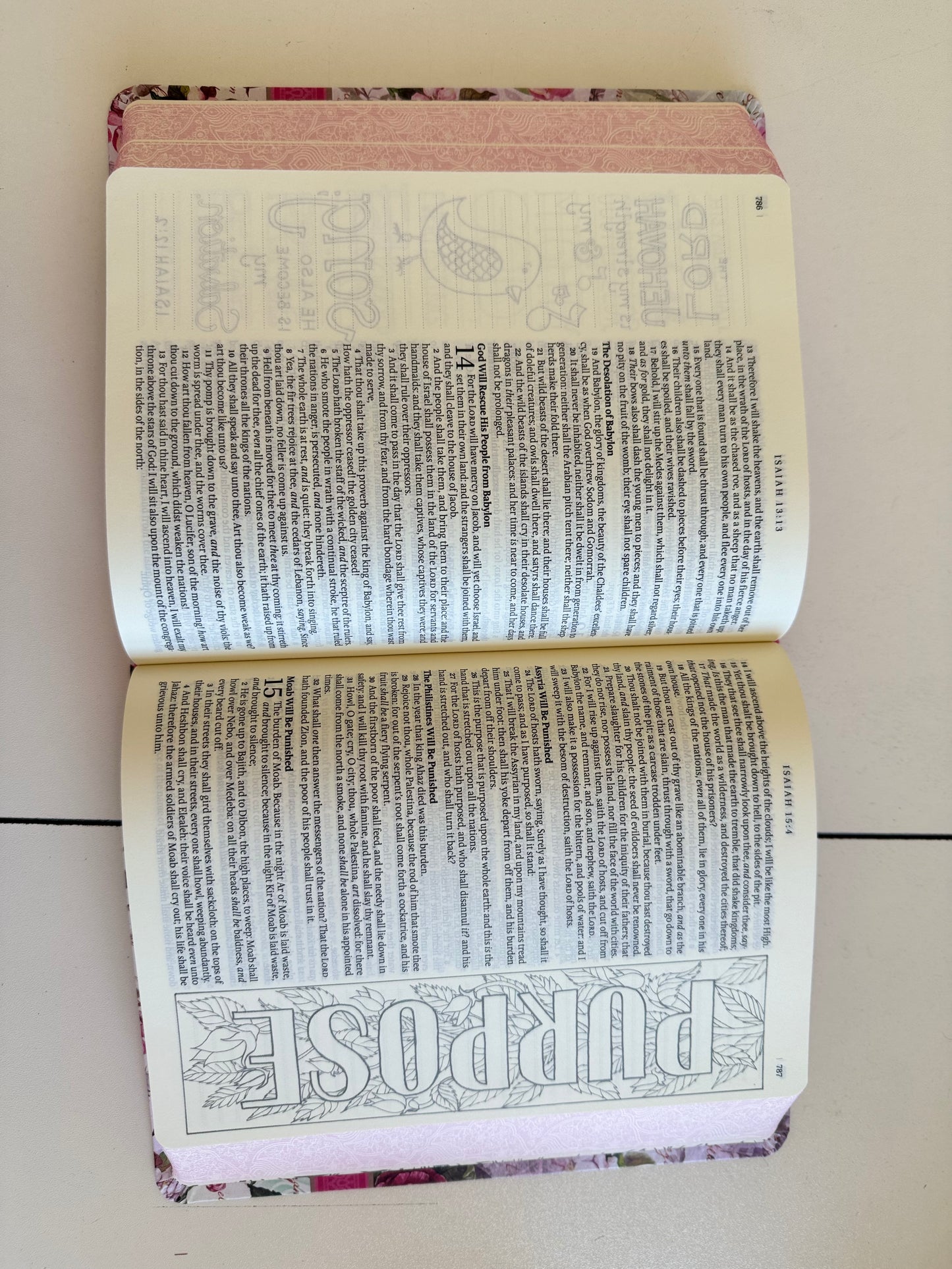 My Creative Bible KJV
